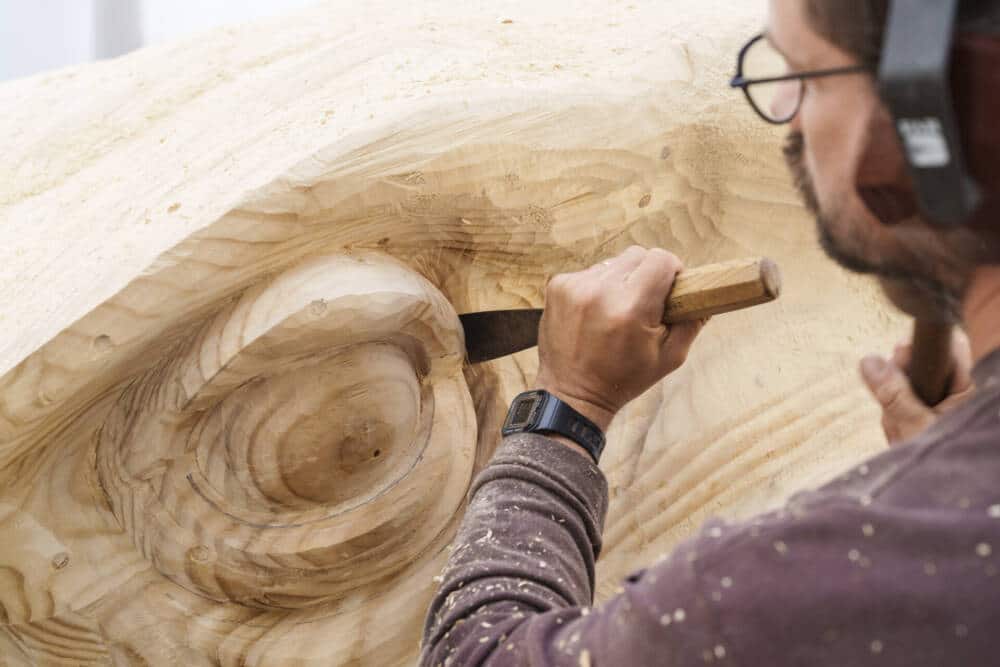 Focus sur la construction de l'œil du varan de voyage
