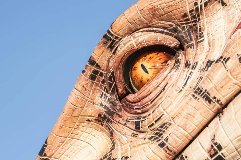 L'œil du Varan de Voyage qui sillonne les quartiers de Calais