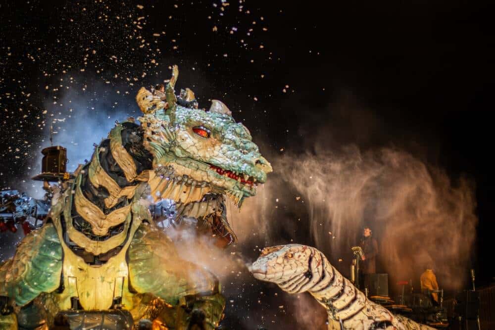 Dragon et le varan se reposent sous la neige