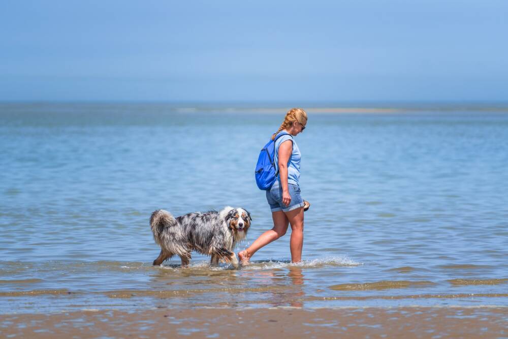 Une jeune femme promenant son chien sur la plage des Hemmes de Marck.