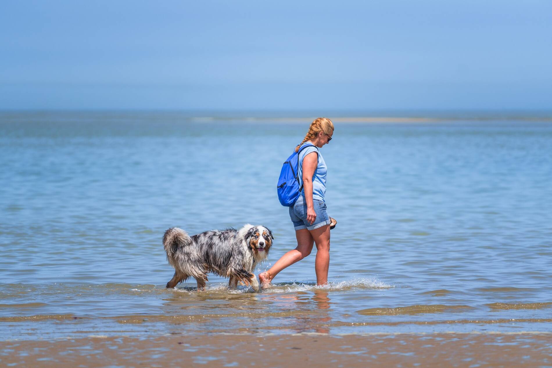 Une jeune femme promenant son chien sur la plage des Hemmes de Marck.