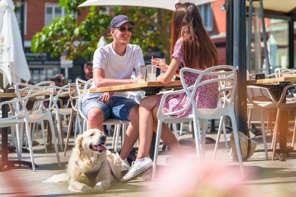 Un couple attablé en terrasse de Calais accompagnés de leur chien.