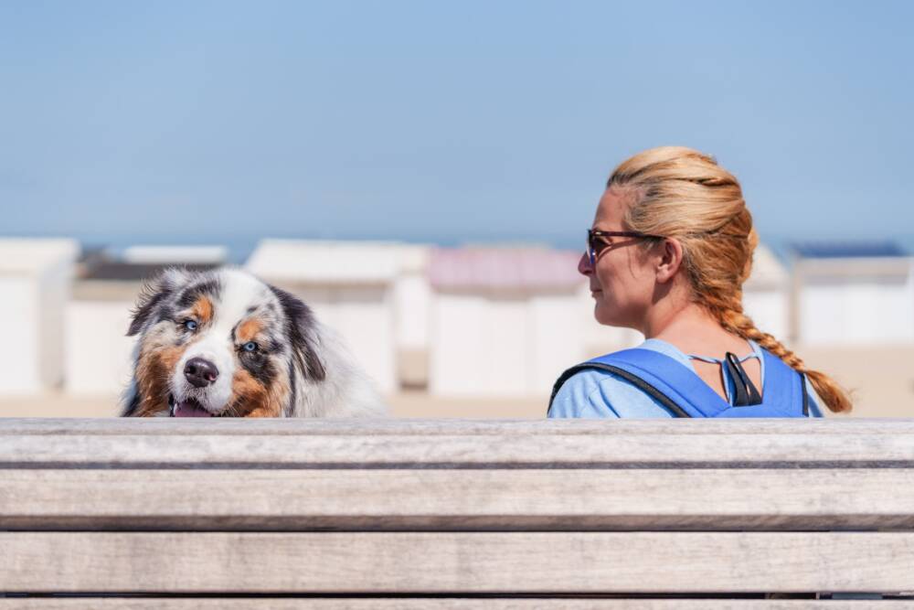 Une femme et son chien assis sur les espaces de repos du front de mer de Calais LA Plage.