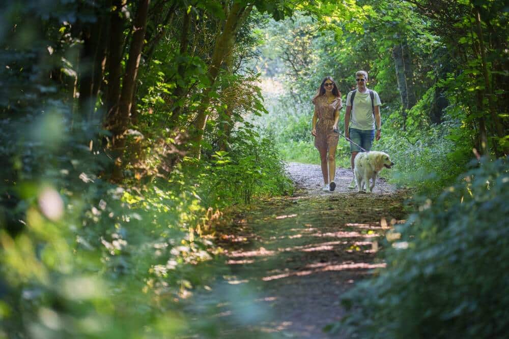 Un couple promenant son chien sur les sentiers nature du Cap Blanc-Nez.