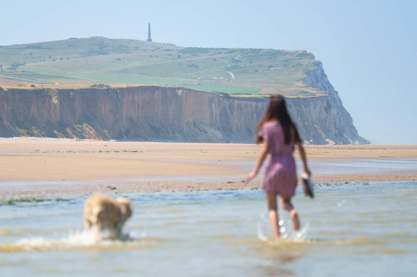 Chien et son maître dans l'eau au pied du Cap Blanc Nez, plage de Sangatte.