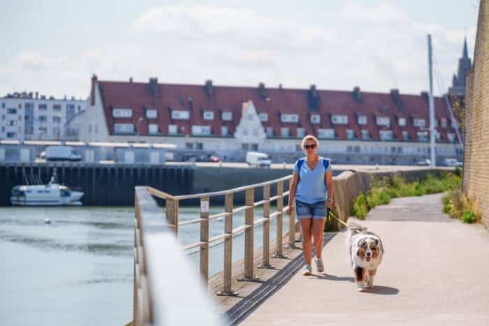 Une femme promenant son chien le long du Perré Risban à Calais. En arrière plan : le quartier du Courgain Maritime.