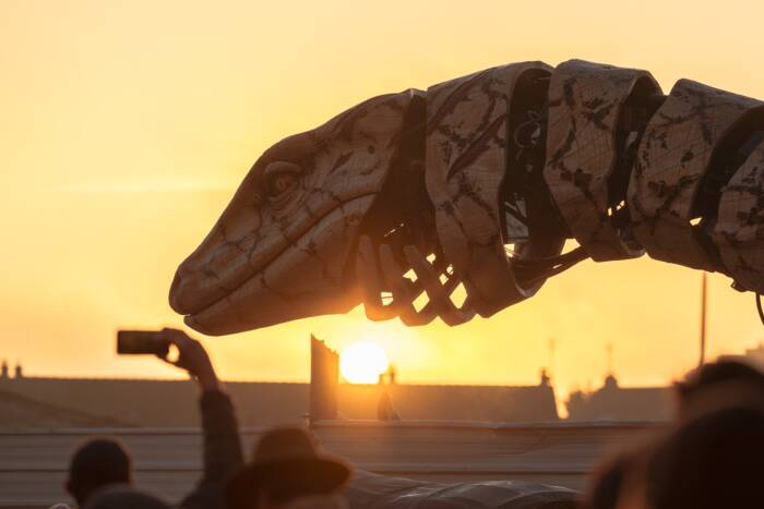 Le Varan de Calais profite du lever de soleil de Calais XXL