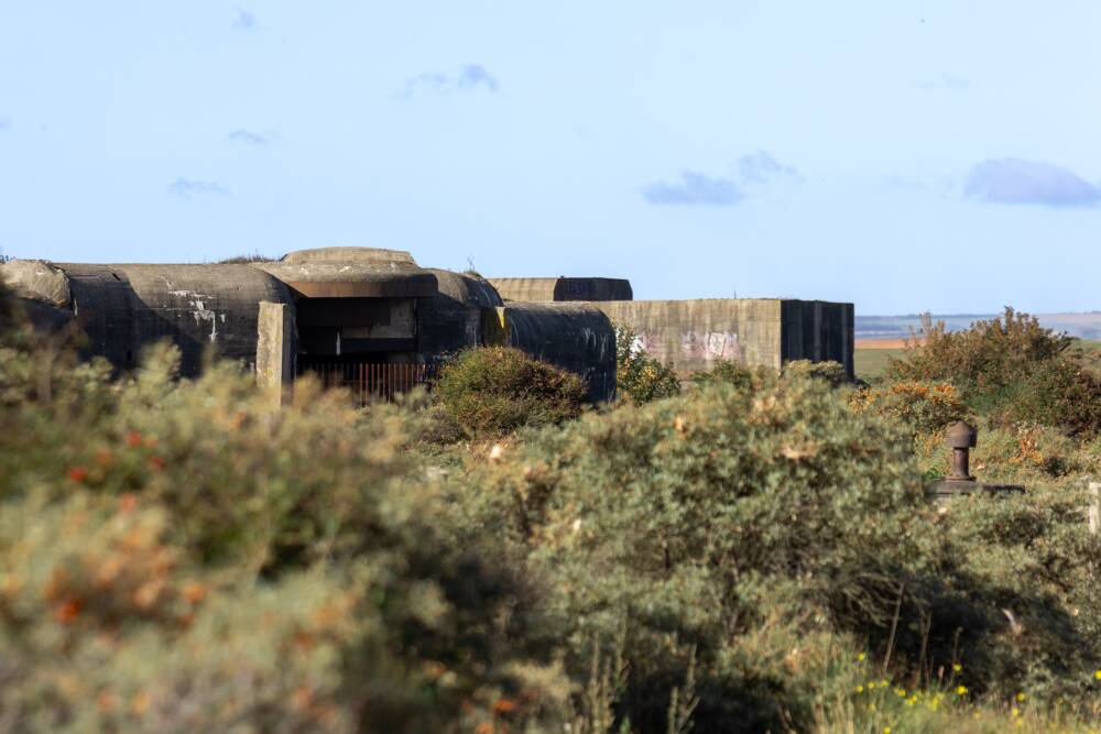 La batterie allemande Oldenburg sur l'espace naturel des dunes du fort Vert sur la partie est de Calais.