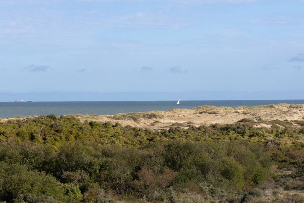 Les espaces sauvages de la plage de la huchette