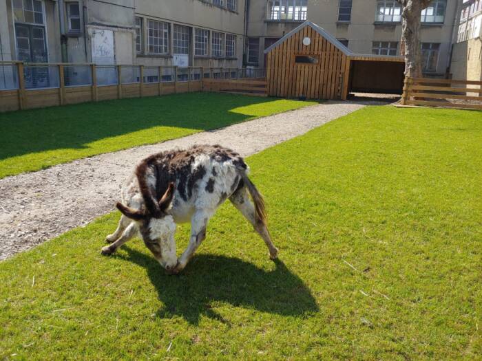 La Ferme Urbaine
