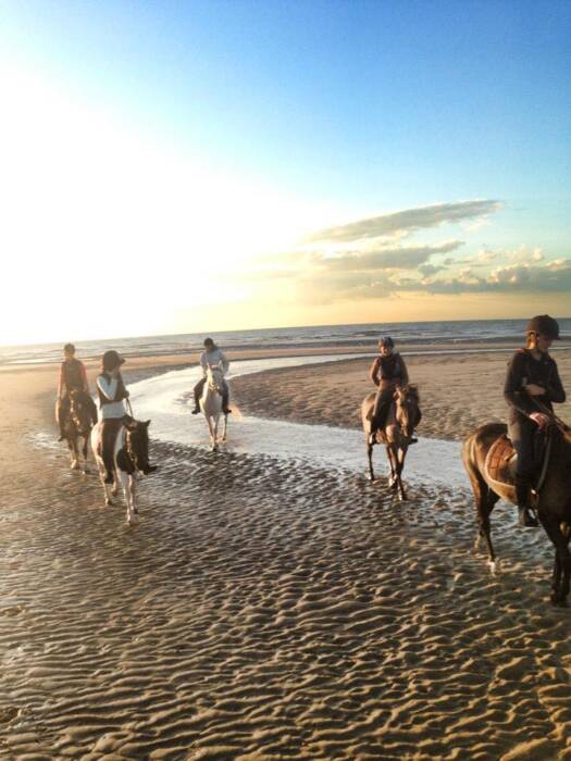 Poney Club Jules Verne
