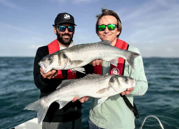 peche-poissons-matthieu-bollaert