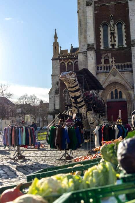 La Varan au Marché de Saint Pierre