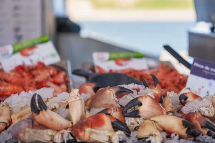 courgain-maritime-poisson-calais