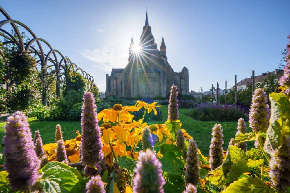 eglise-notre-dame-calais