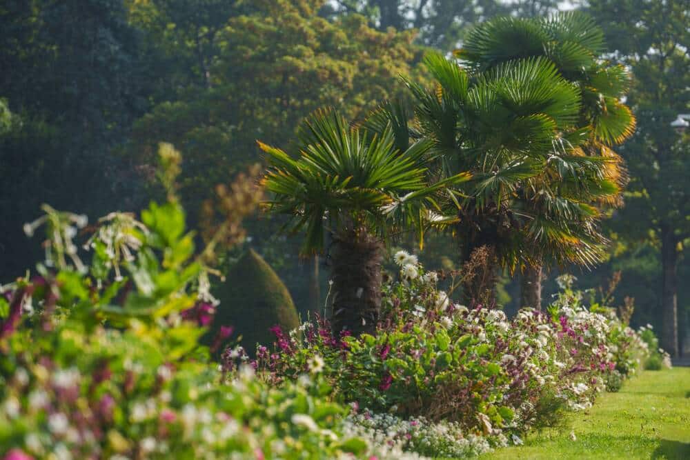 Parc Richelieu Calais