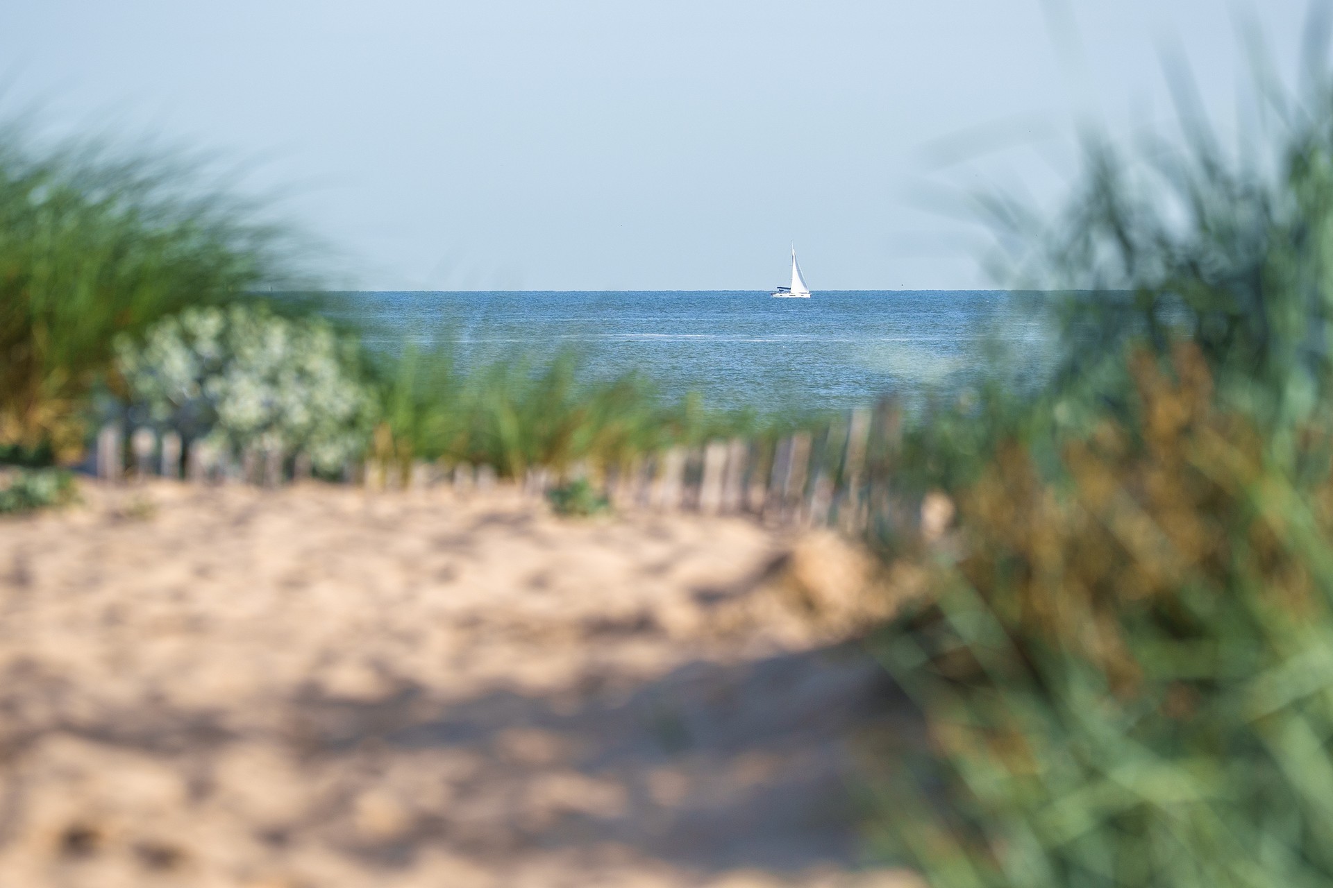 dunes-plage-sangatte-chemins