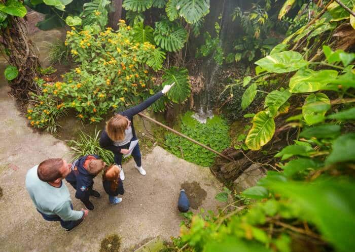Jardin Botanique du Beau Pays à Marck