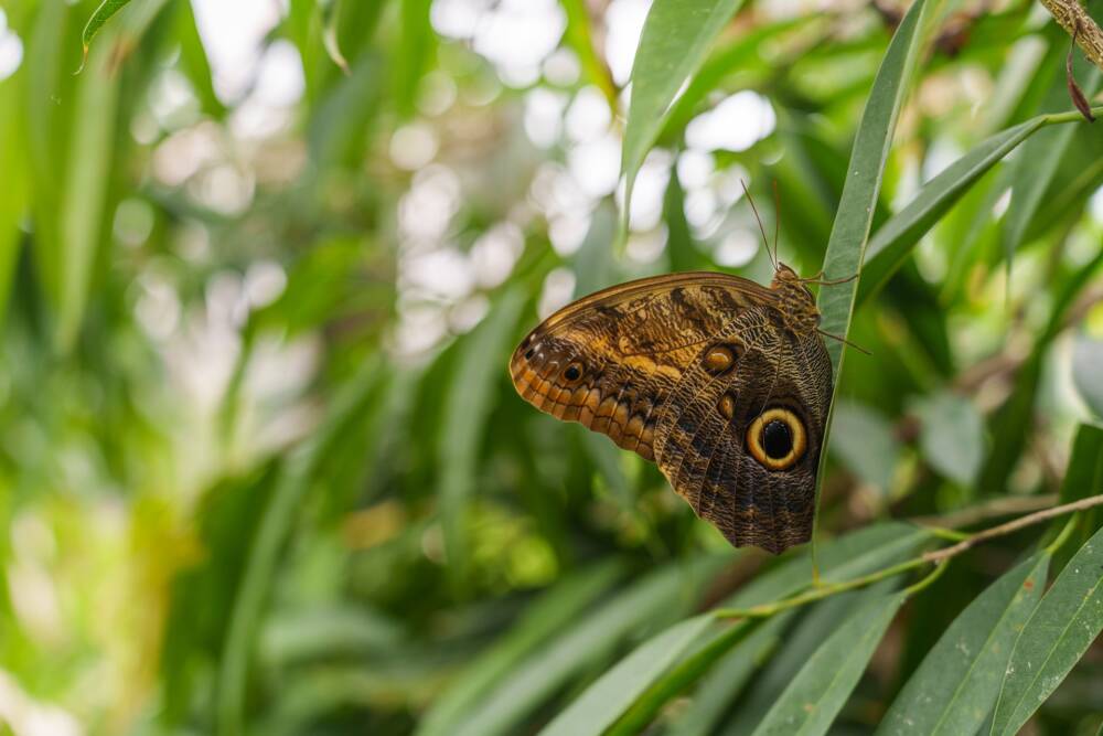 Jardin Botanique du Beau Pays à Marck
