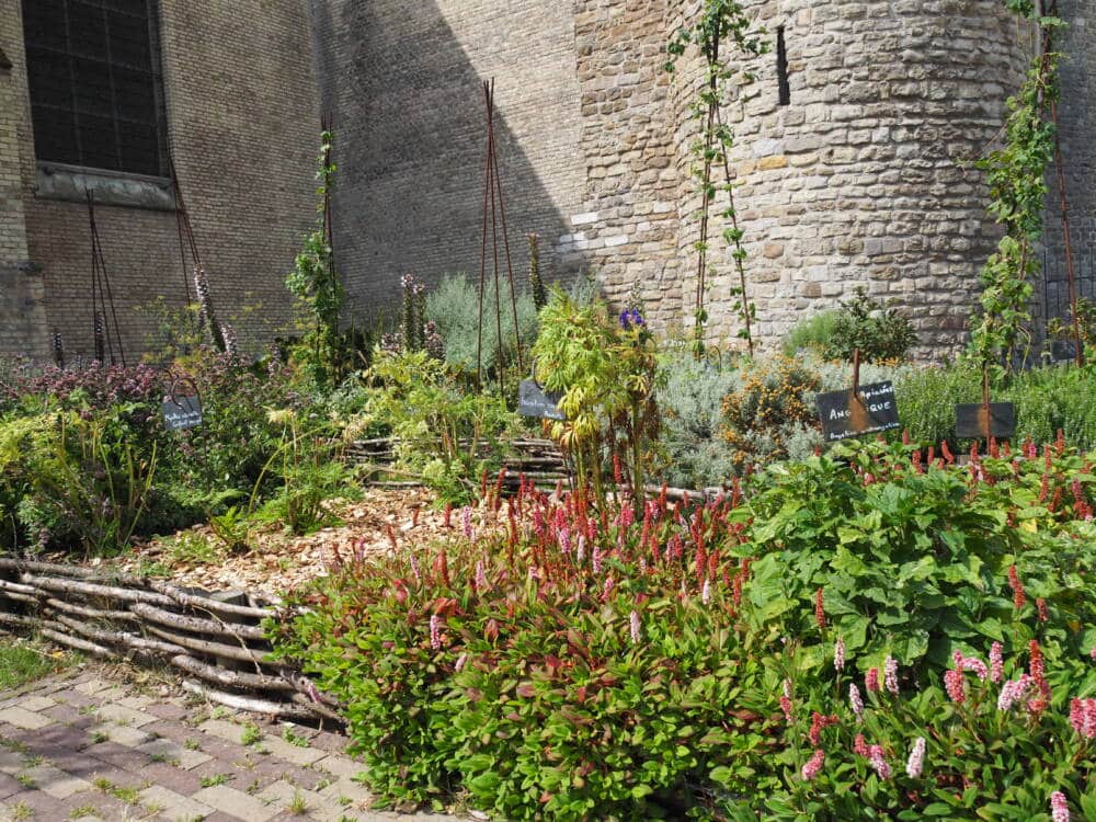 Jardins Tudor Calais