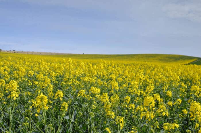 Bonningues Les Calais